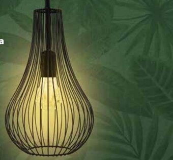 Netto Lampa oferta