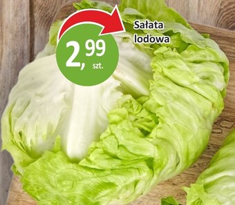 Passa Sałata oferta