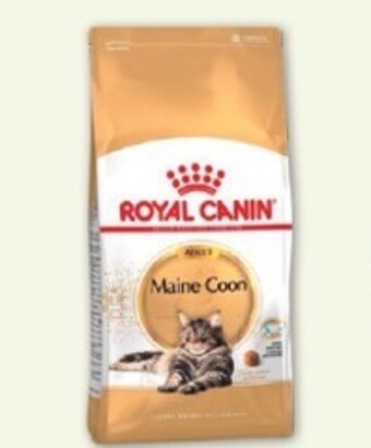 Maxi Zoo Karma dla kota Royal Canin oferta