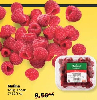 Netto Maliny oferta