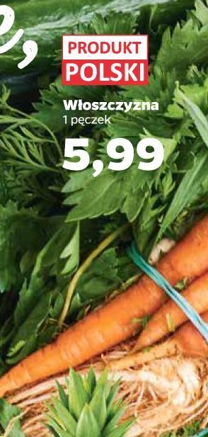 Netto Włoszczyzna oferta