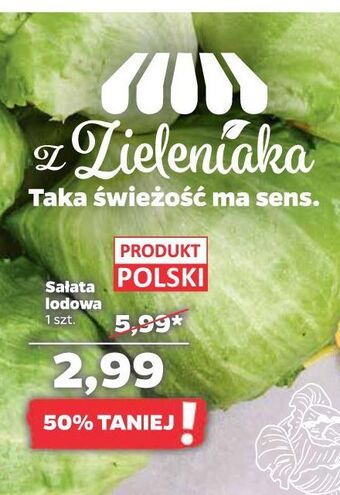Netto Sałata lodowa oferta