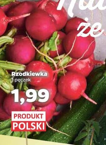 Netto Rzodkiewka oferta