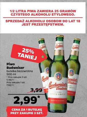 Netto Piwo Budweiser oferta