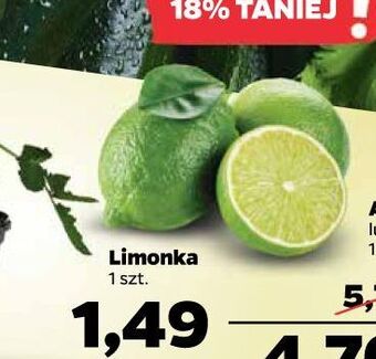 Netto Limonka oferta