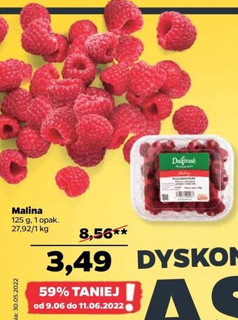 Netto Maliny oferta