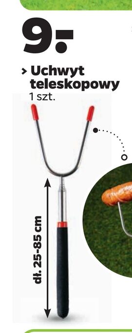 Netto Uchwyt teleskopowy oferta