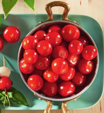 Makro Pomidory oferta