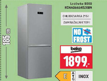 Neopunkt Lodówka Beko oferta