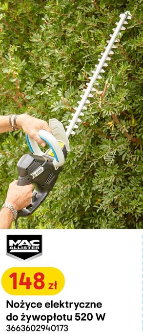 Castorama Nożyce elektryczne do żywopłotu 520 W oferta