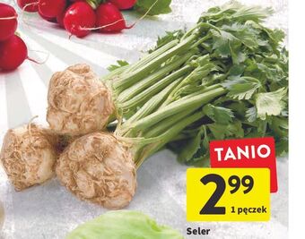 Intermarche Seler oferta