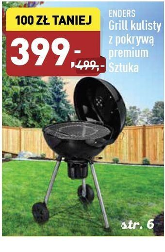 ALDI Grill kulisty z pokrywą premium Enders oferta