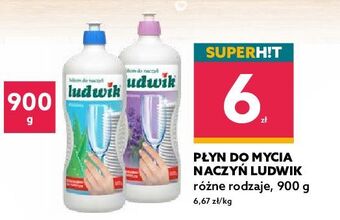 Dealz Balsam do naczyń aloesowy Ludwik oferta