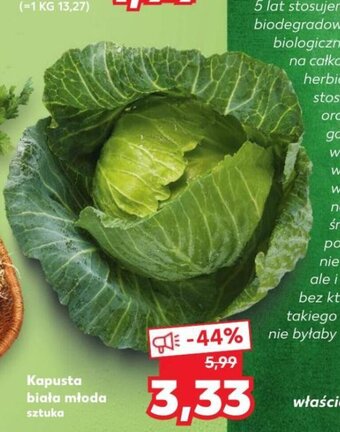 Kaufland Kapusta biała młoda 1szt. oferta