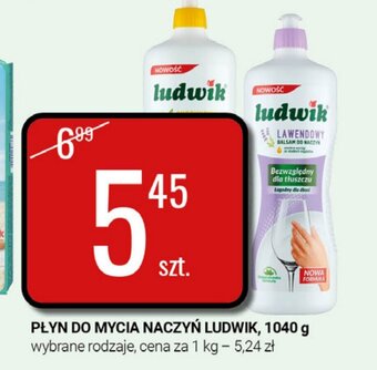 bi1 Płyn do mycia naczyń Ludwik 1040 g oferta
