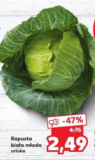 Kaufland Kapusta biała młoda oferta