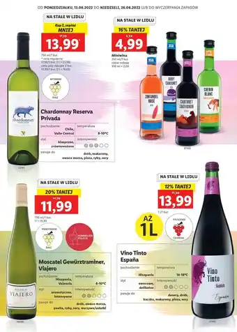 Lidl Wino Valencia Viajero oferta