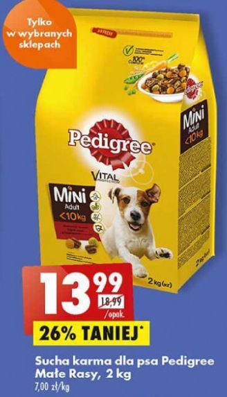 Biedronka Karma dla psa mini adult z wołowiną Pedigree Vital oferta