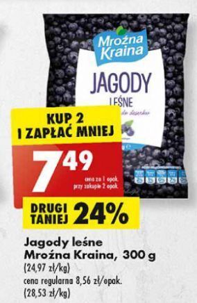 Biedronka Jagody leśne Mroźna Kraina oferta