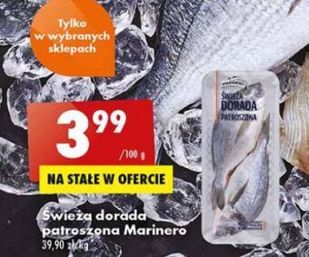 Biedronka Dorada patroszona świeża Marinero oferta