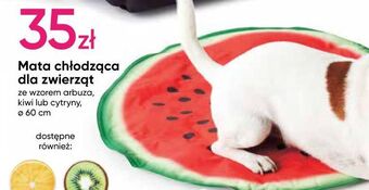 Pepco Mata chłodząca dla zwierząt 60 cm arbuz oferta