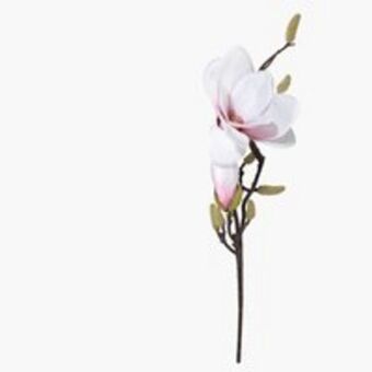 JYSK Kwiat sztuczny ronny w51cm biau0142y oferta