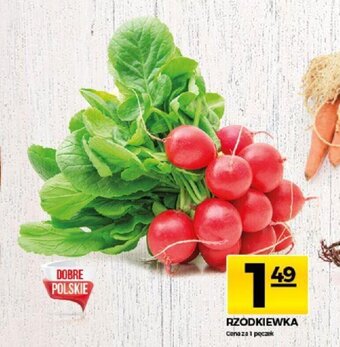 Topaz Rzodkiewka pęczek oferta