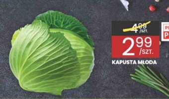 Wafelek Kapusta młoda 1 szt. oferta