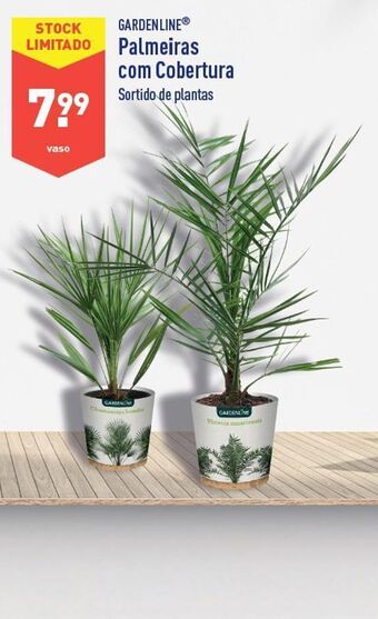 ALDI Plantas promoção