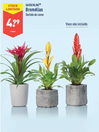 Plantas com flores