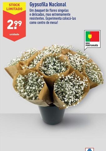ALDI Flores promoção