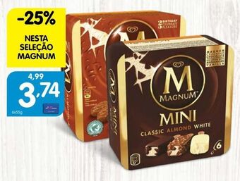 Gelados magnum