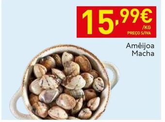 Recheio Marisco promoção