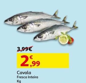 Auchan Cavala:fresca inteira kg promoção