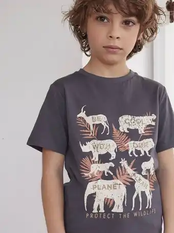 T-shirt animais em puro algodão bio, para menino - cinzento...