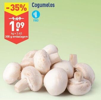 ALDI Cogumelos promoção