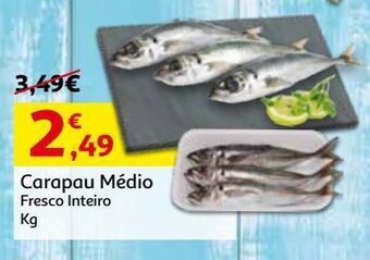 Auchan Carapau medio:fresco inteiro kg promoção