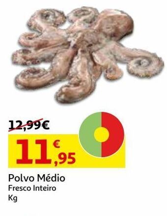 Auchan Polvo medio:fresco inteiro kg promoção