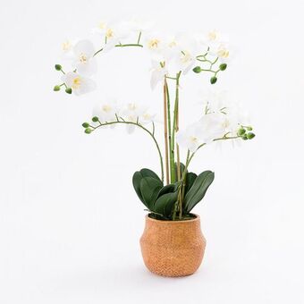 VIVA Vaso com orquídea artificial 19010304 promoção