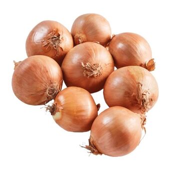 Cebola
