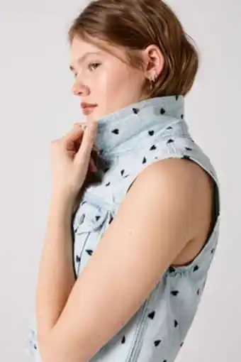 Colete de ganga platonic