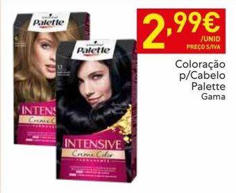 Recheio Coloração palette promoção