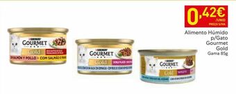 Recheio Ração para gatos gourmet promoção