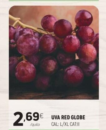 Uva Red Globe