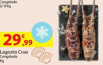 Lagosta crua congelada:kg de peso liquido