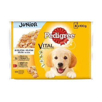 Pingo Doce Ração húmida para cão júnior sabor galinha e vaca pedigree promoção