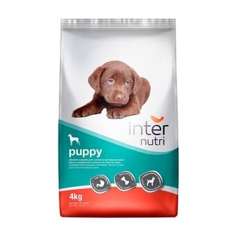 Ração seca para cão júnior internutri