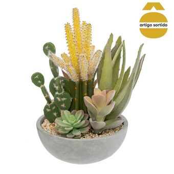 Hôma Vaso de cimento com cato 24cm promoção