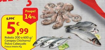 Auchan Robalo promoção