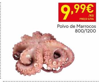 Recheio Polvo promoção